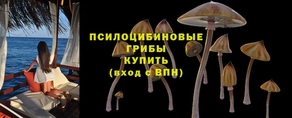 прущие крисы Верея