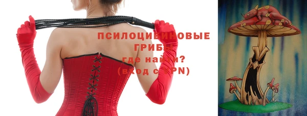 прущие крисы Верея
