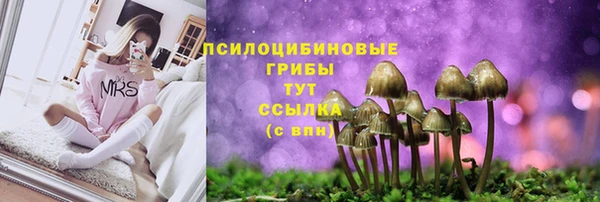 прущие крисы Верея